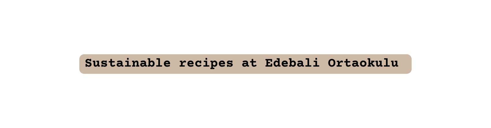 Sustainable recipes at Edebali Ortaokulu